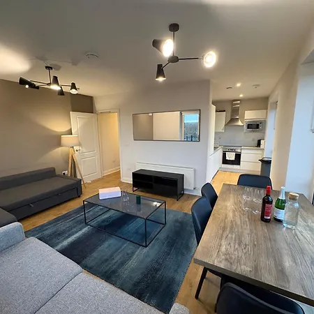 Luxurious Entire With Grand Living Space And Panoramic Balcony Views Dublin